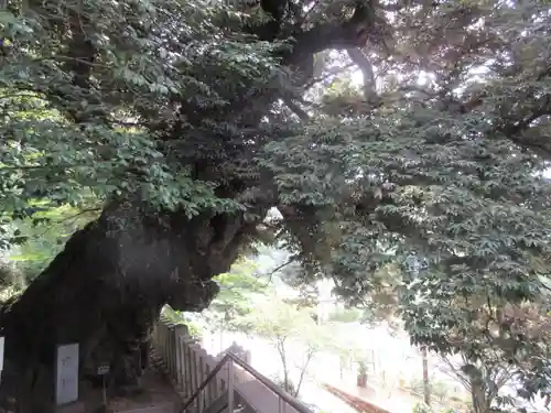 楽法寺（雨引観音）のその他建物