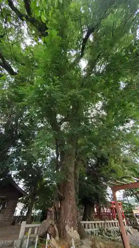 金守神社の自然