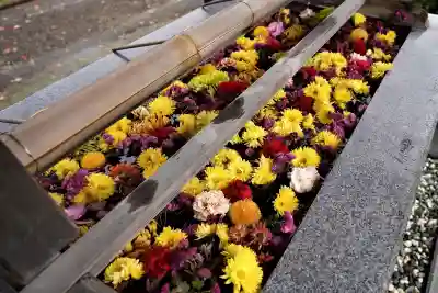 豊景神社の手水舎