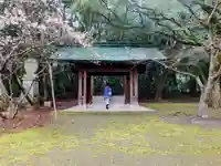 乃木神社の手水舎