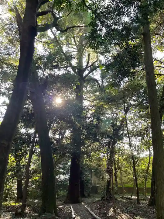事忌神社(芸濃)(三重県)