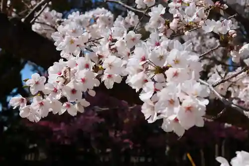 三津厳島神社(愛媛県)