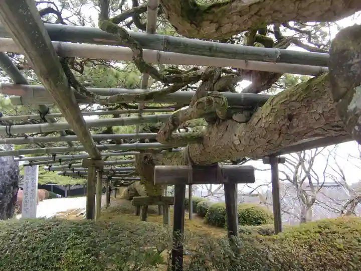 善峯寺(京都府)