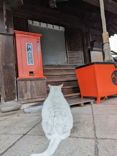 羽黒神社(岡山県)