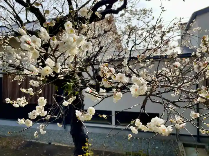 福泉寺(神奈川県)