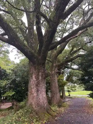 藤越神社(京都府)