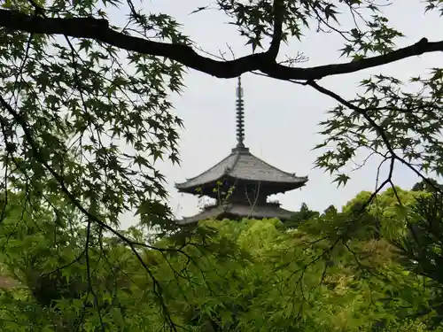 仁和寺の塔