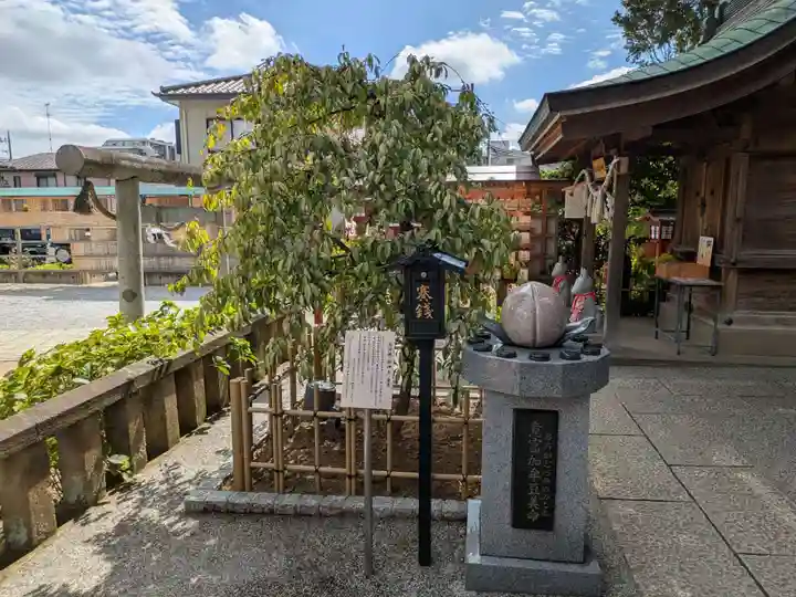 川越八幡宮(埼玉県)