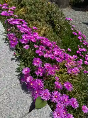 宝帒寺(神奈川県)