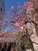 長円寺(東京都)