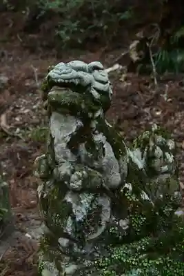 地主神社（桑の川の鳥居杉）(高知県)