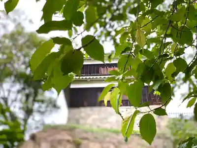 眞田神社(長野県)