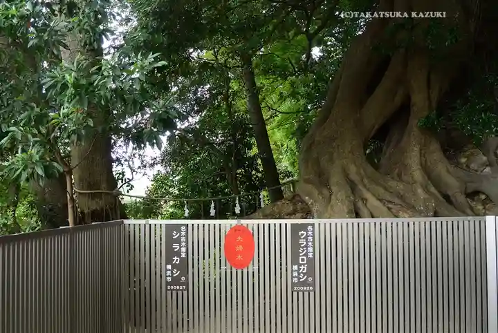 春日神社(神奈川県)