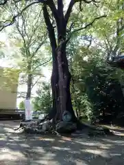 開運招福 飯玉神社(群馬県)