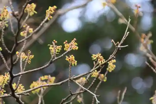 豊景神社の庭園