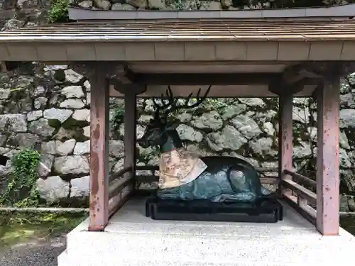 吉田神社の狛犬