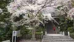 大崎八幡宮の自然