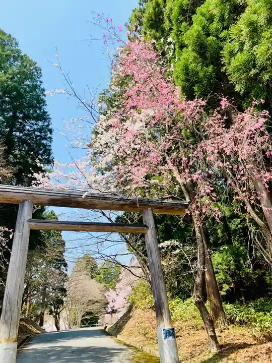 土津神社|こどもと出世の神さまの鳥居