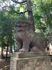 ときわ台天祖神社(東京都)