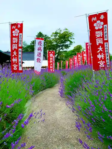 櫻岡大神宮の庭園