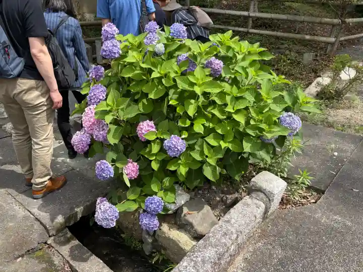 八幡宮(吉利倶八幡宮・勧修寺八幡宮)(京都府)