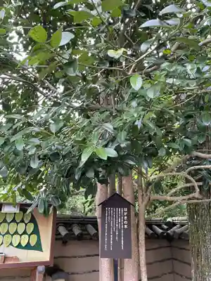 法起院(奈良県)