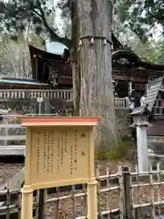 三峯神社(埼玉県)