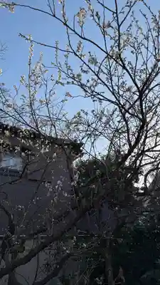 元興寺(奈良県)