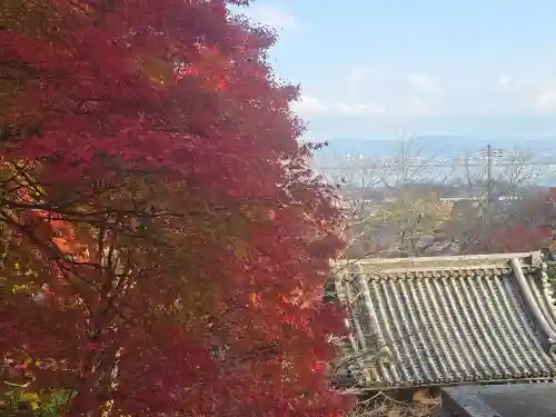 西教寺(滋賀県)