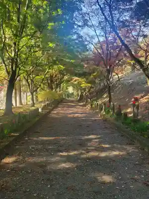 金藏院（聖法寺）のその他建物