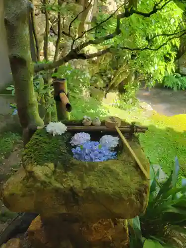 柳谷観音　楊谷寺(京都府)