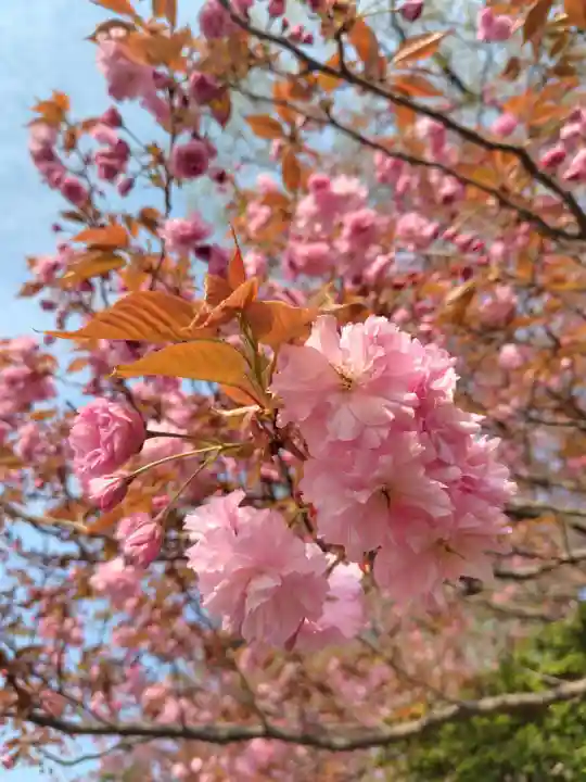 厚別神社(北海道)