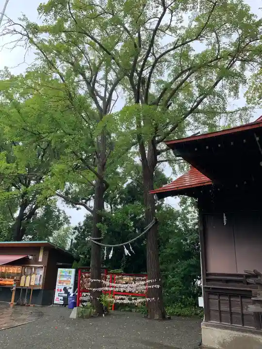 多摩川浅間神社の自然