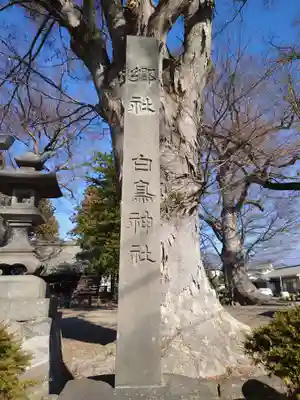白鳥神社(長野県)