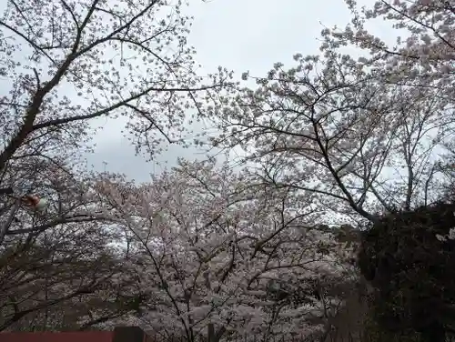 勝持寺（花の寺）(京都府)