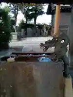 寒川神社の手水舎