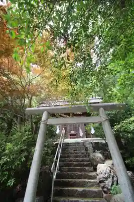 滝沢神社(埼玉県)