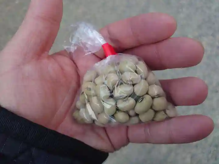 浅草神社の授与品その他