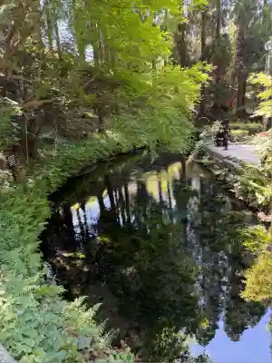 白川吉見神社(熊本県)