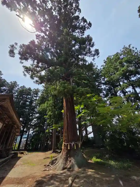 魚沼神社(新潟県)