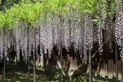 唐招提寺(奈良県)