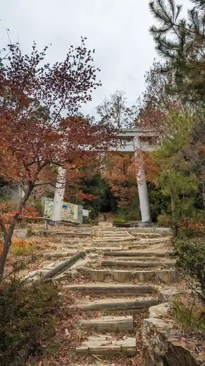自玉手祭来酒解神社(京都府)