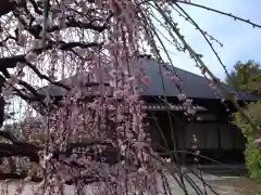 本立寺(愛知県)