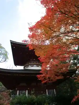 円成寺(奈良県)
