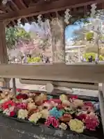 鳩森八幡神社(東京都)