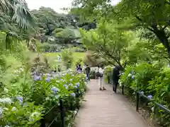 本土寺の庭園