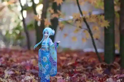 正寿院(京都府)