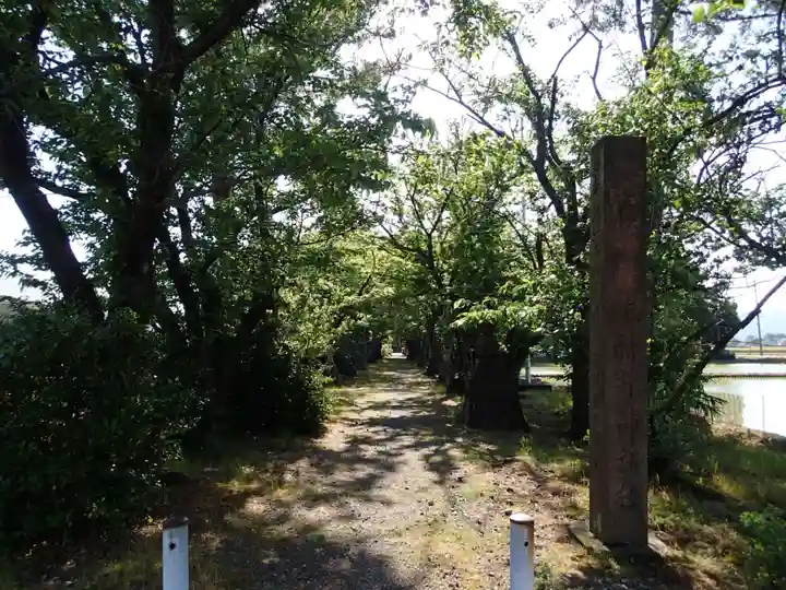 本村井神社のその他建物