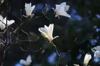 紀伊宮神社の自然