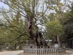 大山祇神社(愛媛県)